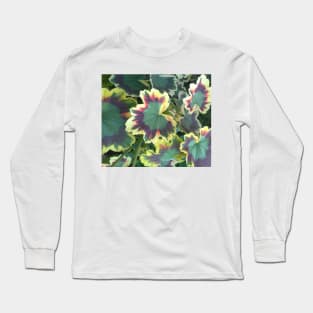 Geranium (Pelargonium) Leaves Long Sleeve T-Shirt